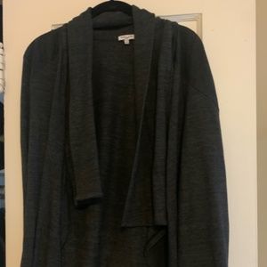 Splendid Grey Sweater